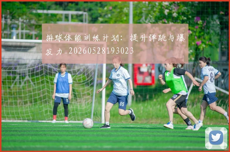 排球体能训练计划：提升弹跳与爆发力_20260528193023
